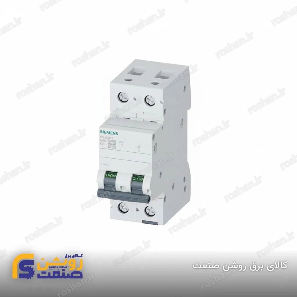 کلید مینیاتوری دو پل 25A منحنی C