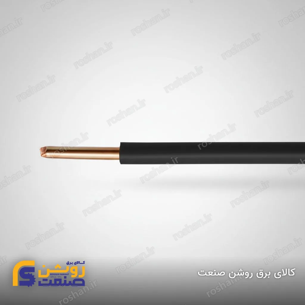 سیم مفتولی 1×10 لوشان
