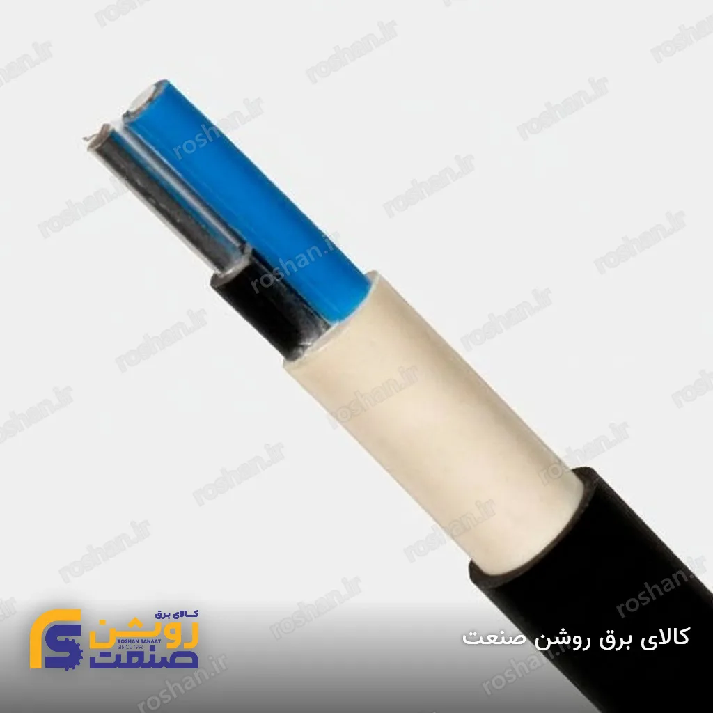 کابل آلومینیوم XLPE 2×10 لوشان
