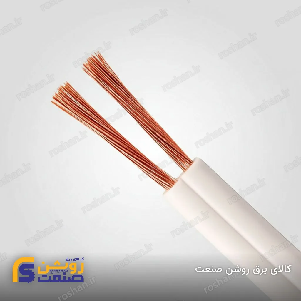 سیم بند تخت (نایلون) 2×1.5 لوشان