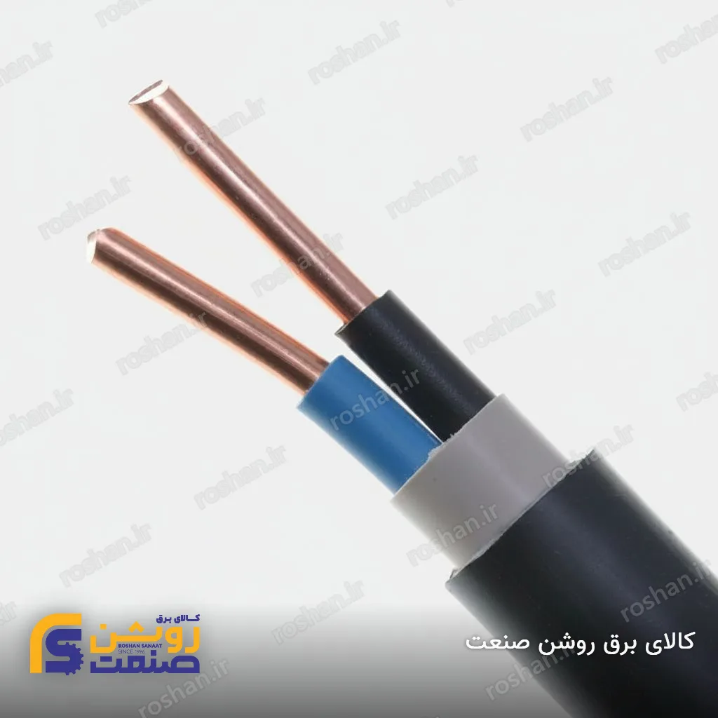 کابل مفتولی 2X10A لوشان