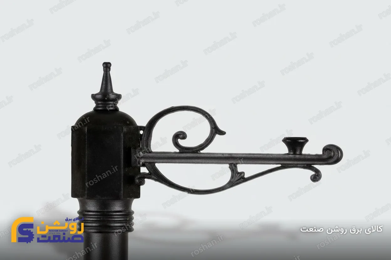 شفق تنه وسط تک شاخه رو به بالا دنا